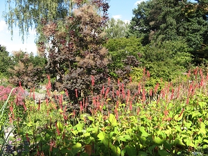 Karl Foerster Garten Potsdam Bornim Foto Brandt